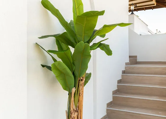 M&m Villa Vourvourou