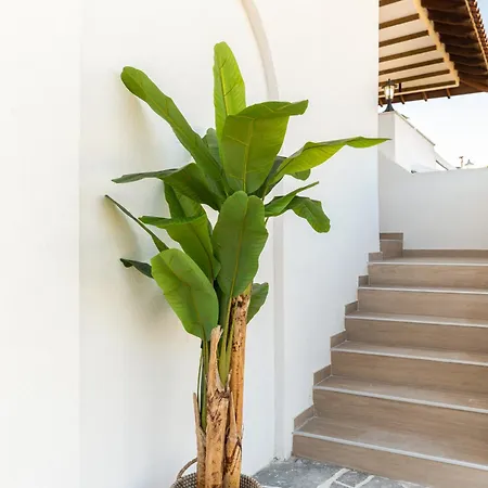 M&m Villa Vourvourou